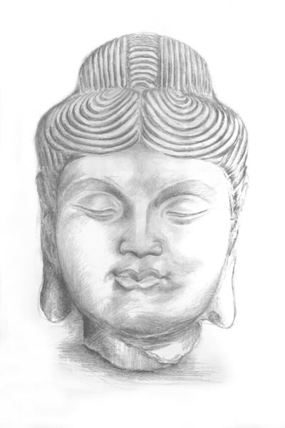 Budha drawing by jane mcadam freud sculptor